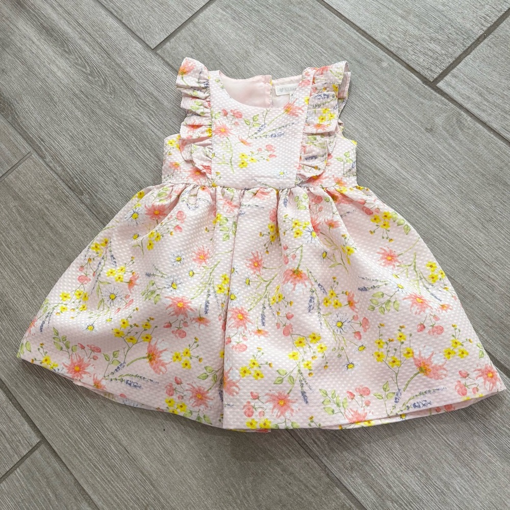 Nannette Baby Girl Pink Floral Ruffle Dress